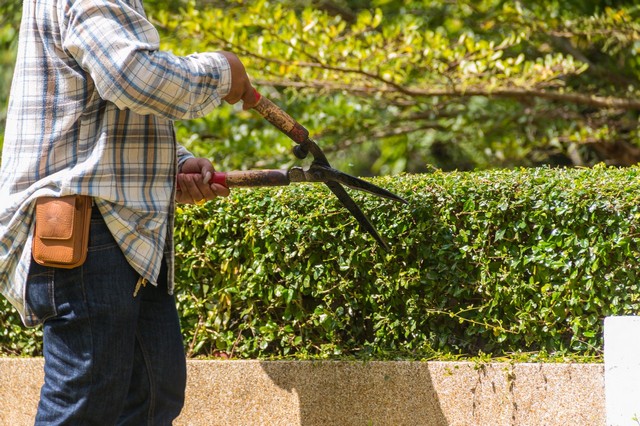 Garden Maintenance Tadworth, Kingswood, Mogador, KT20
